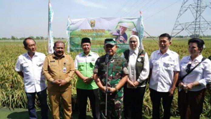 Program Ketahanan Pangan Ksad Panen Raya Padi Ar Di Karawang