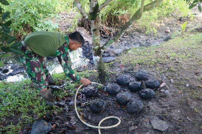 Senapan Dan Ranjau Langka Sisa Perang Dunia Ke Ii Yang Ditemukan Di