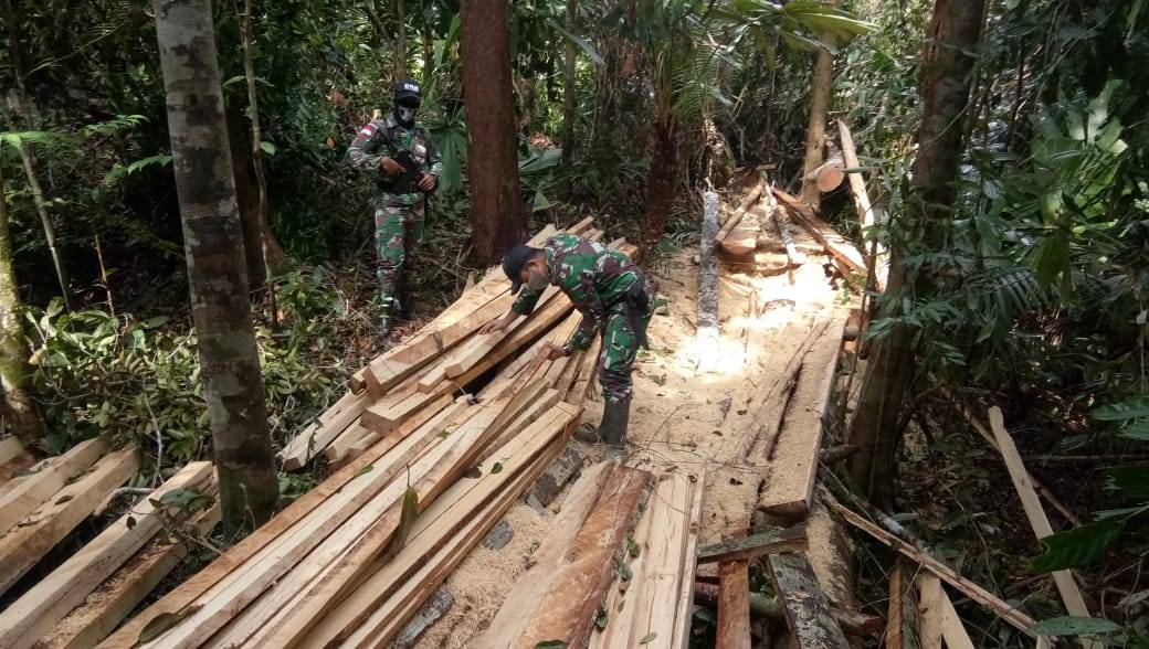 Satgas Yonif 642/Kapuas Amankan Kayu Illegal Logging di Perbatasan