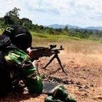 Yonko 462 Kopasgat